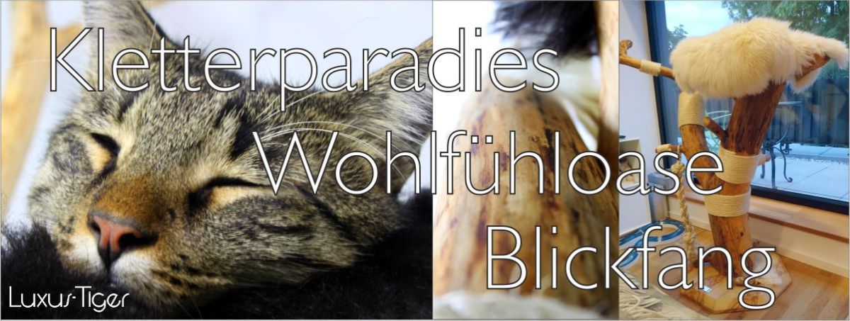 Titelbild Kratzbaum Kletterparadies und Blickfang Titelbild Luxus-Tiger Kratzbaum mit dem Schriftzug Kletterparadies, Wohlfühloase und Blickfang