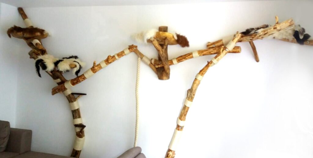 großer Wandkratzbaum mit Catwalk