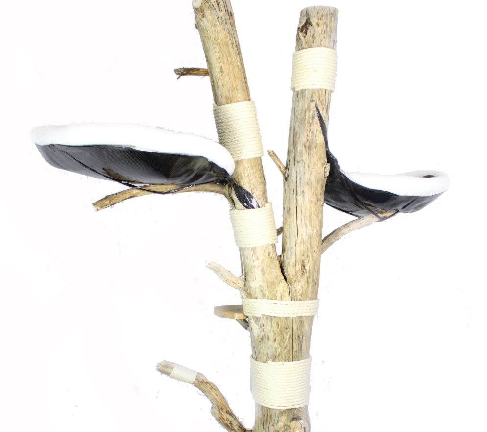 Kratzbaum mit zwei Liegeflächen aus Carbon