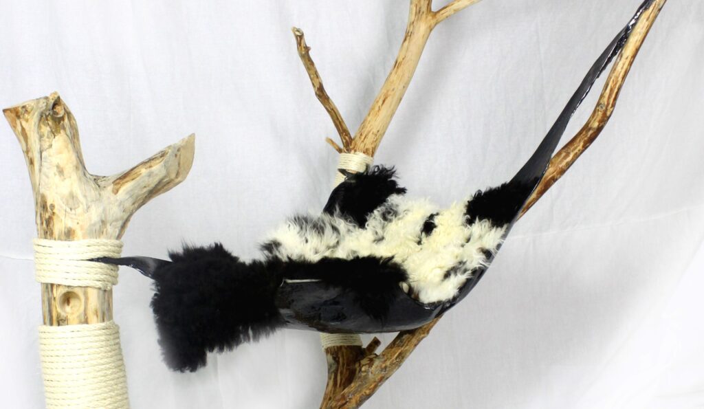 aussergewöhnlicher Kratzbaum mit Carbon Liegefläche