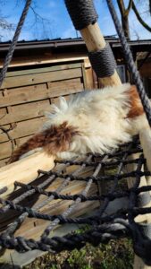 Kratzbaum mit Liegefläche aus schwarzem Sisal