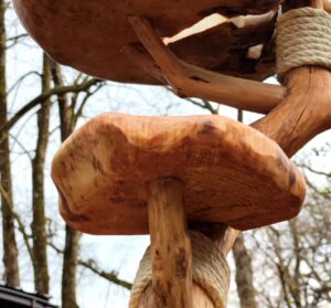 Kratzbaum-Holztrittstufe-Natural Trittstufe "natural carved" für Naturkratzbaum passend zu den Liegeflächen