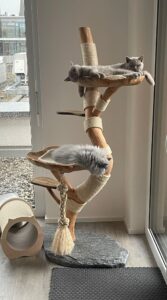 Kleiner Naturkratzbaum mit zwei Liegeflächen und süßen Katzen, individuell geplant im Raum Stuttgart