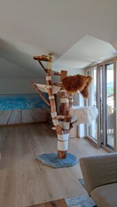 Sehr großer Naturkratzbaum aus Buchenholz nach Maß, individuell geplant für einen Wohnraum in der nähe von Salzburg