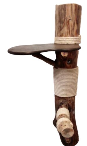 Wand-Kratzstamm aus Naturholz